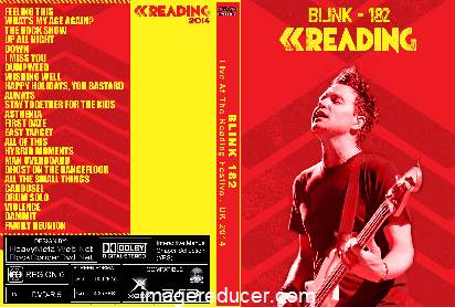 BLINK 182 Live Reading Festival 2014.jpg